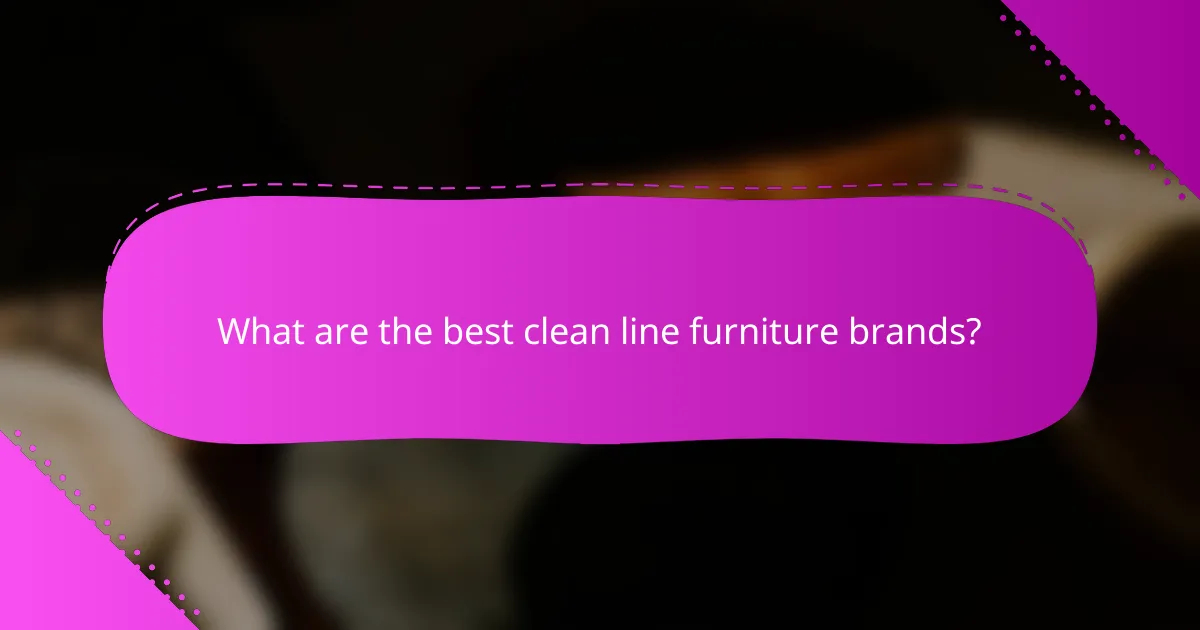 What are the best clean line furniture brands?